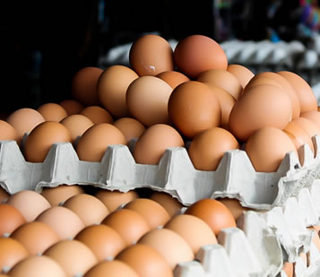 In the Ecuadorian Andes, we don’t refrigerate eggs but how do we know when they go bad?
