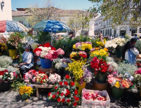 Plaza de las Flores: a paradaise of colors and smells
