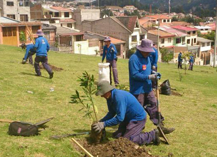 Mingas: EMAC’s strategy to promote reforestation in the city