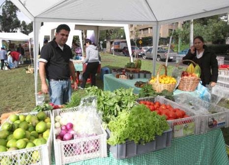 Cuencano farmers want to boost organic food production
