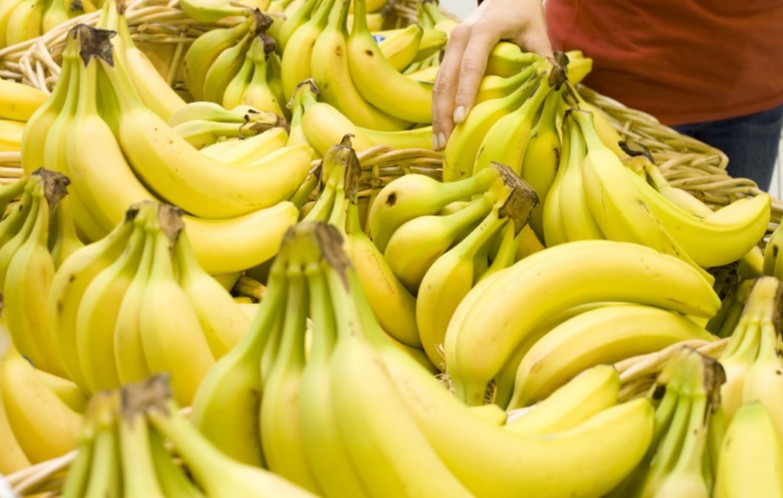 Ecuador’s bananas land in Brazil after twenty year wait