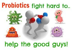 Probiotics and prebiotics: What are they?