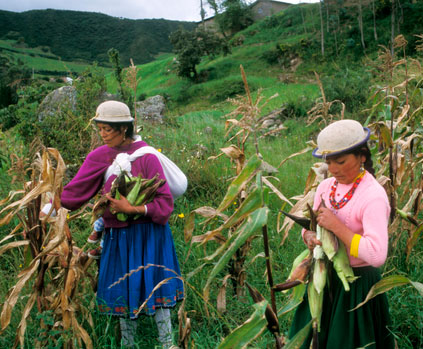 Ecuador leads Latin America in rate of poverty and crime reduction