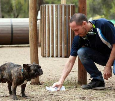 Fines issued for not collecting dog poop