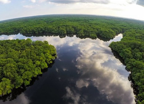 Ecuador, Norway and Germany agree to protect Ecuador rainforest