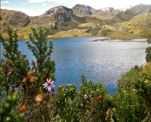 Site of 1995 meteorite strike, source of UFO legends, studied in the Cajas Mountains
