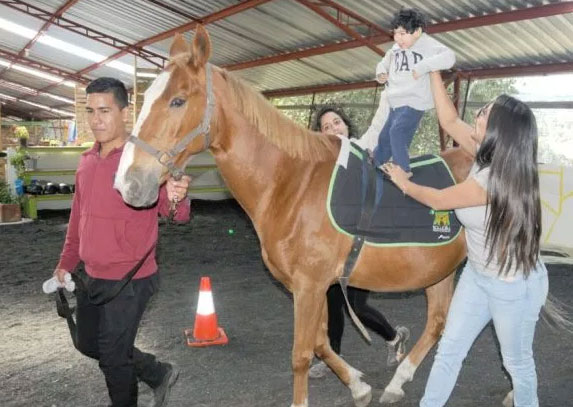 Hippotherapy center in Nulti brings joy to children with impairments