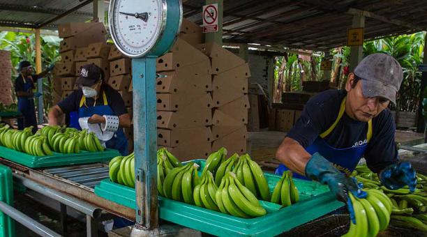 Ecuador and Chile take first steps towards a Free Trade Agreement