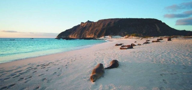 UNESCO has approved the widening of the Biosphere Reservation of Galapagos