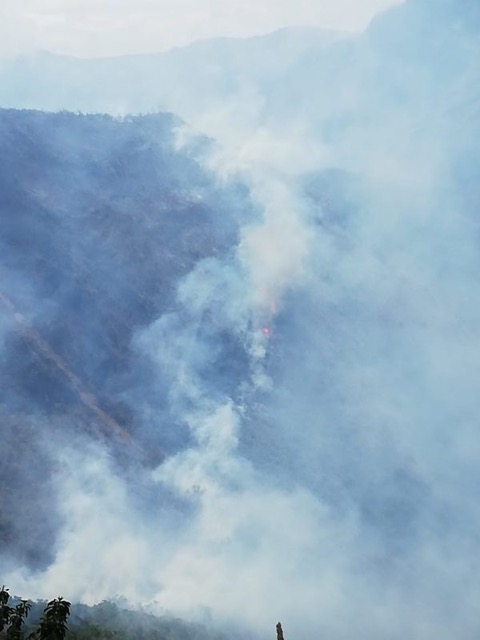 Large forest area destroyed by fire near Pucará