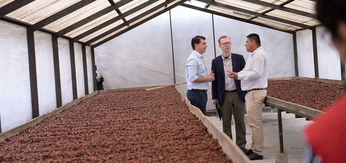 Revitalization program in the cocoa industry comes with United States assistance