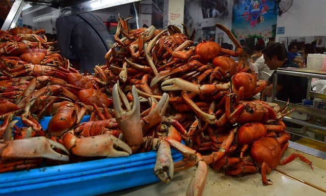 Red crab season opens again in Ecuador