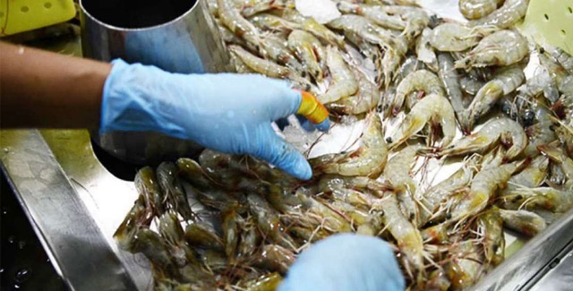 Ecuador looking for China to remove import restrictions on Ecuadorian shrimp
