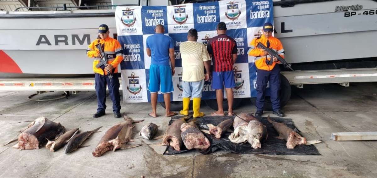Colombian Navy arrests 3 Ecuadorians for illegal fishing in protected area