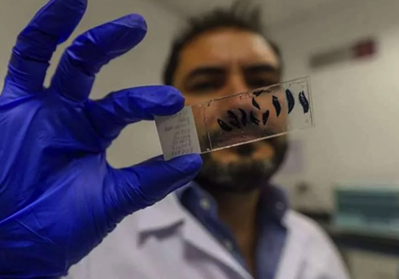 Ecuadorian scientist part of team making advances in liver cancers