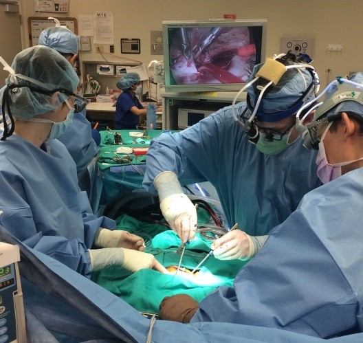 IESS hospital preforms first minimally invasive heart procedure