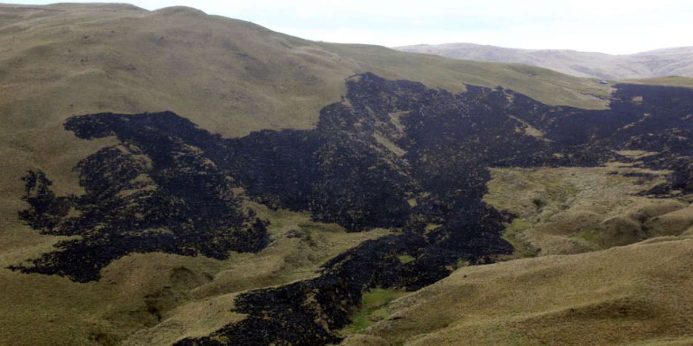 Fire destroys 10 hectares of scrub and grassland near Portete