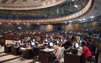 National Assembly sends Moreno Organic Code of Health containing abortion language for sanction or veto