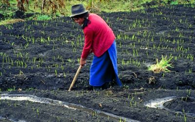 The dichotomy of working women in Ecuador
