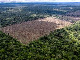 There is little time left to prevent the Amazon from reaching a “catastrophic tipping point”