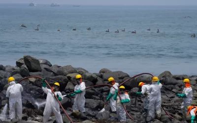 1 month after oil spill, Lima’s beaches littered with dead wildlife