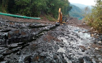 Ministry of the Environment initiates legal action for oil spill in national park