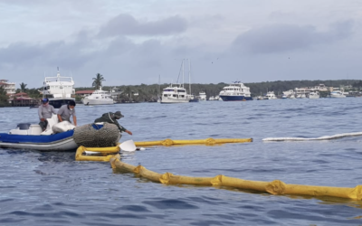 Dive boat sinks causing diesel fuel spill in Galapagos