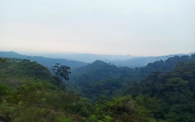 Pastaza province, Indigenous groups collaborate on forest conservation