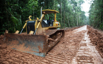 Ecuadorian Amazon has lost 379,000 hectares of forest to human activity in less than four decades