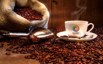 Ecuador exports its first container of ‘sustainable and deforestation-free’ coffee
