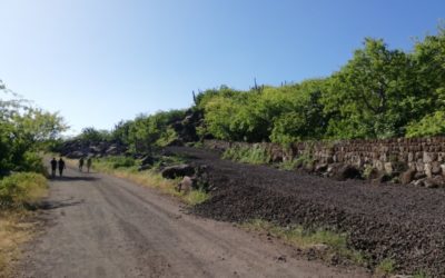 Galapagos locals fighting hotel construction that seems to break all the laws