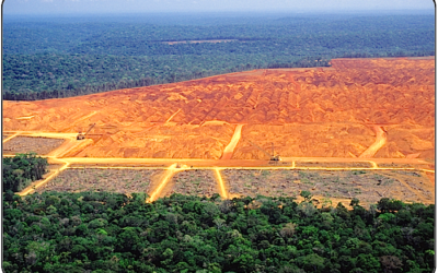 Study warns that vast swaths of Amazon are dead