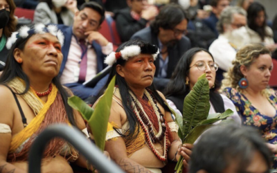 The Constitutional rights of indigenous peoples and nationalities in Ecuador are often ignored