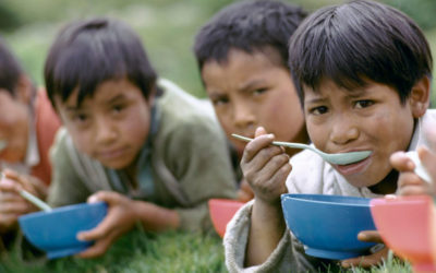 FAO says Ecuador has second worst rate of hunger in South America