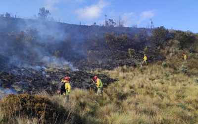 The number of forest fires in Azuay has doubled in 2022