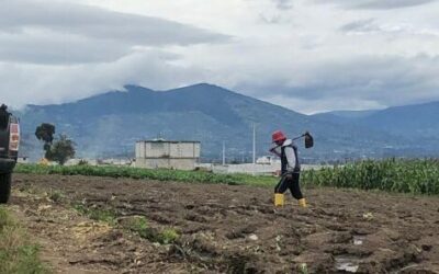Migration’s Impact on Agricultural Production in Ecuador: A Looming Crisis