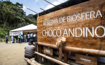 The future of mining concessions in Chocó Andino: Navigating the aftermath of the popular consultation
