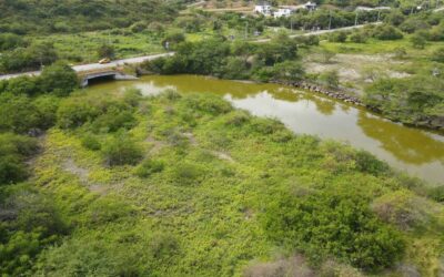Controversial Real Estate Project in Olón: Understanding the Registration, Certificate, and Environmental License, and Ministry of the Environment Requirements