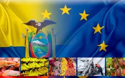 Germany Advises Ecuadorian Exporters to Comply with European Union Standards: Impacts on Cocoa, Coffee, and Palm