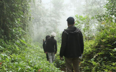 “Do Your Work Somewhere Else; It’s Dangerous Here”: Drug Violence Threatens Research in Ecuador