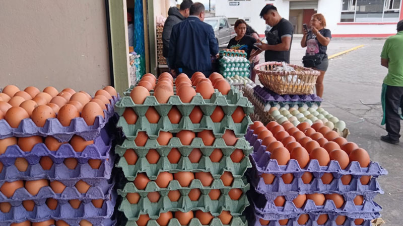 Corn Shortage Forces Small Poultry Farms to Sell Off Birds as Egg Prices Rise