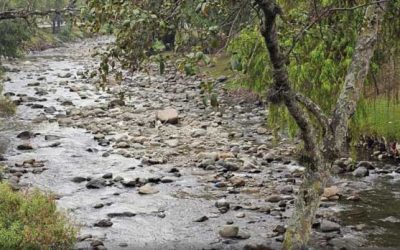 It Would Only Take 10 to 15 Days of Rain to End Cuenca’s 95-Day Drought