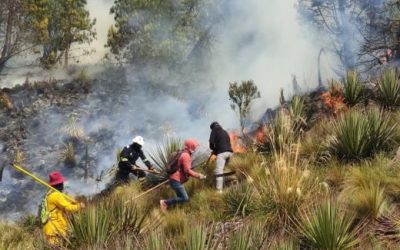Loja and Azuay Ravaged by Ecuador’s Worst Fire Season in Over a Decade