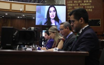 Vice President Abad Battles Suspension Amid Political Turmoil