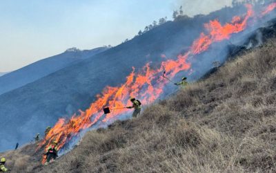 2024: A Year of Devastation and Record-Breaking Wildfires in Ecuador