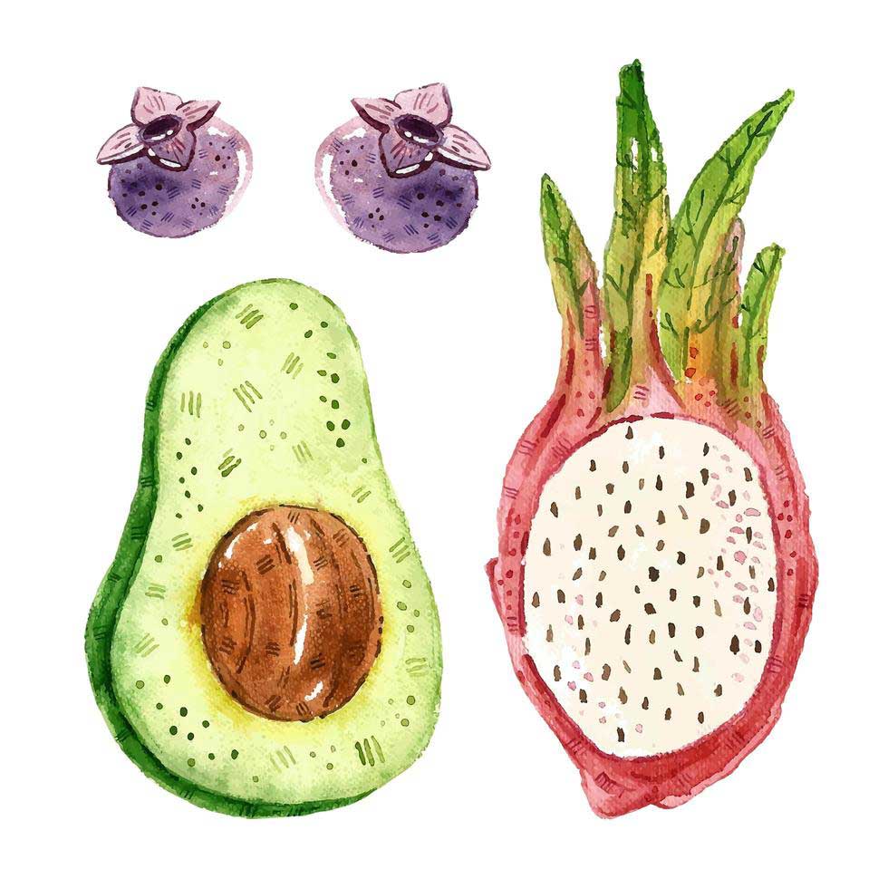 Pitahaya, Blueberry, and Avocado: Ecuador’s Emerging Export Stars