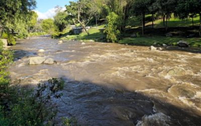 Water Returns to the Tomebamba! Cuenca’s Rivers Show Improvement After Recent Rains