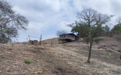 While the Nation Focuses on Blackouts, Manabí’s Forgotten Communities Never Had Electricity