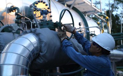 Noboa’s Ambitious Oil Plan