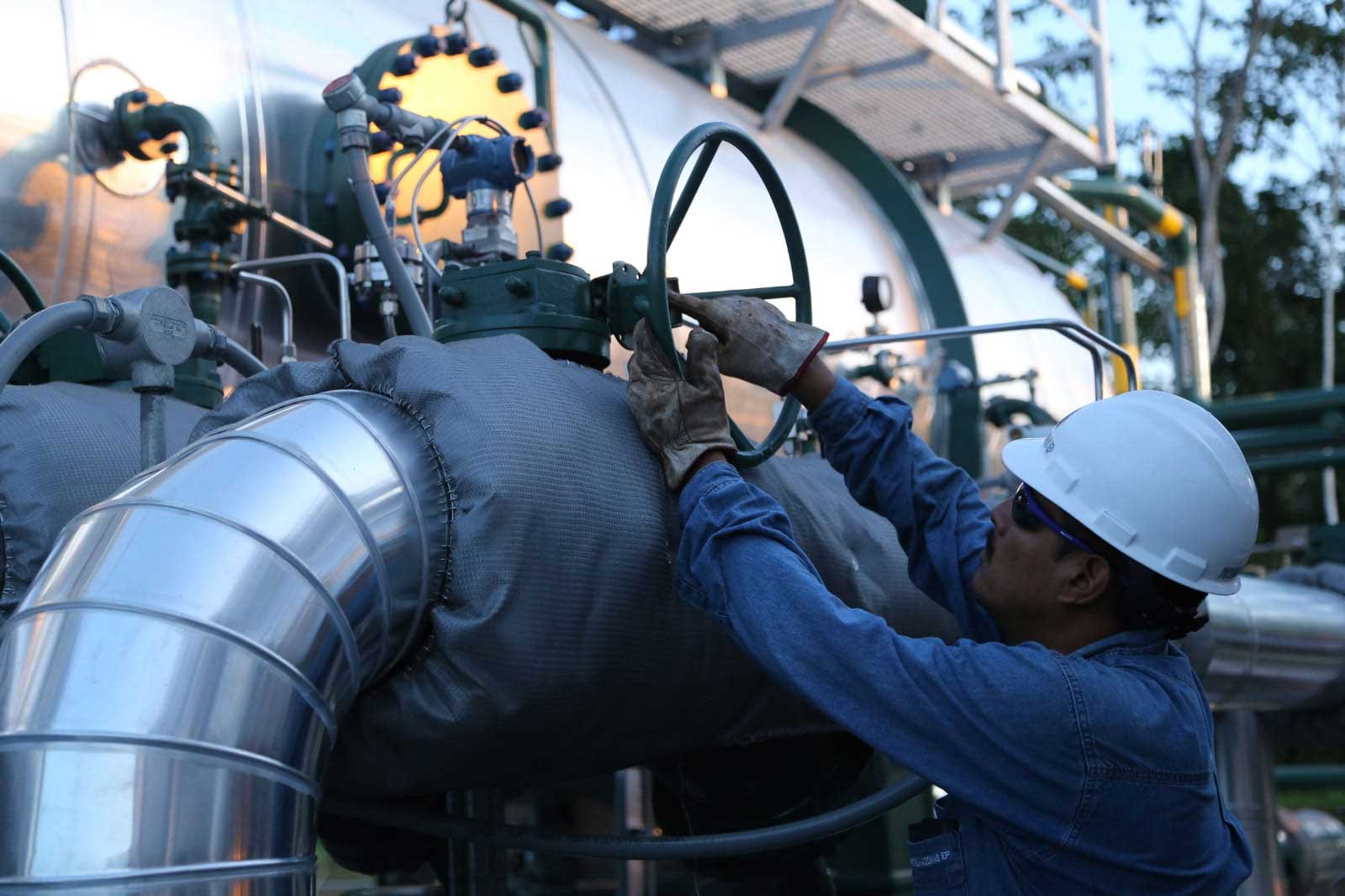 Noboa’s Ambitious Oil Plan